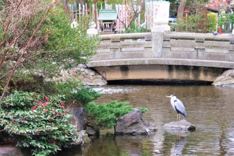 3月のご挨拶