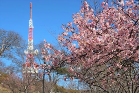 3月のご挨拶