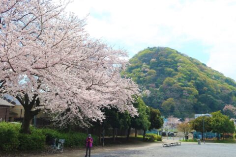 4月のご挨拶