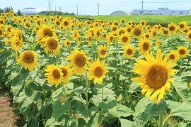 8月のご挨拶