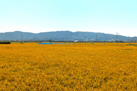 10月のご挨拶